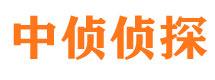 铜官山市侦探公司